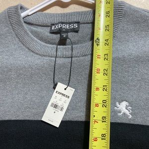 NWT EXPRESS Medium Sweater